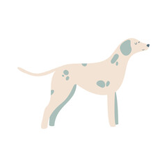 Isolated vector illustration of a Dalmatian dog