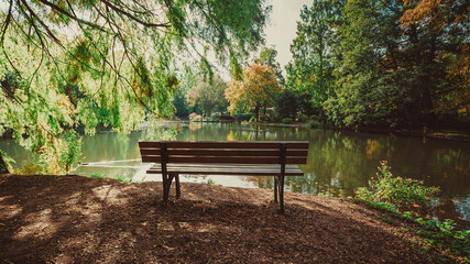 Wooden bench in the city park