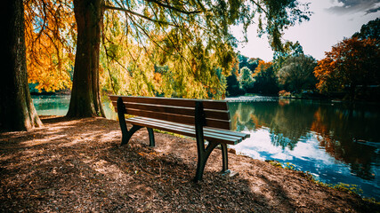 Wooden bench in the city park