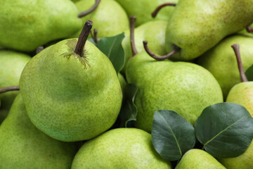Many fresh ripe pears as background, closeup
