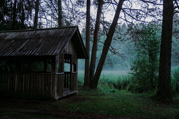 An old wooden gazebo in a green forest. Fog over the swamp in the background. Horror and dark forest atmosphere