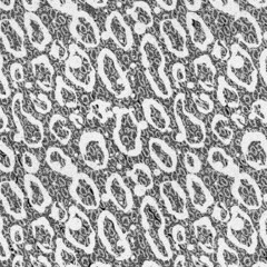 black and white background