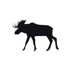 A moose silhouette. Vector