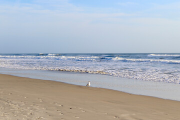 Beach Landscape paradise blue sea