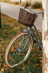 Fototapeta na wymiar A bicycle with a basket on the street by the road is leaning against a tree