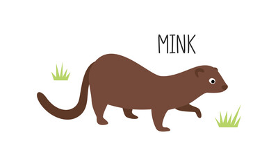 Vector flat illustration of wild forest animal, mink. Illustration isolated on white background.