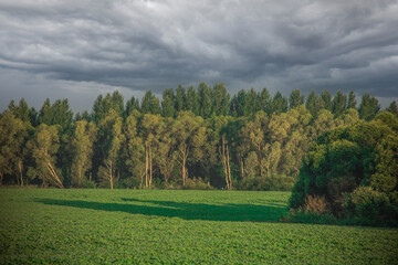 sown fields in the Russian countryside