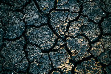 Cracks in ground from dry environment