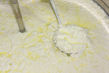 phases of ricotta production in a cheese factory in Greece