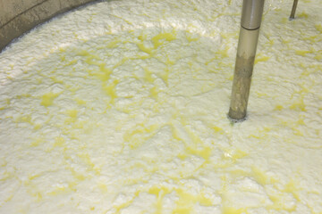 phases of ricotta production in a cheese factory in Greece