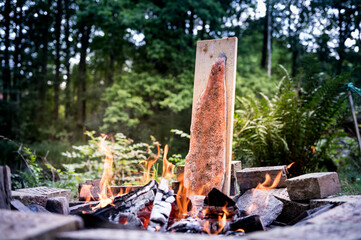 Salmon fillet on a board as flamed salmon on an open campfire
