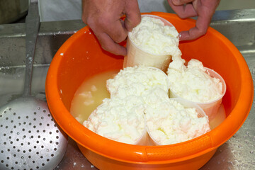phases of ricotta production in a cheese factory in Greece