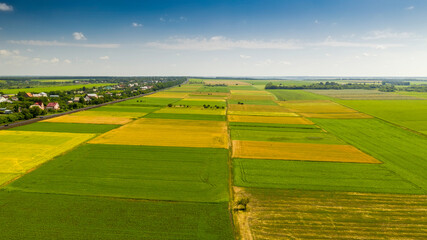 Obraz premium Agricultural machinery. Agrarian Wheat. Fields. Harvest 4K aerial photography.
