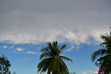 Obraz na płótnie Canvas sky with white clouds