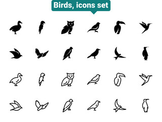 Set of black vector doodle icons, isolated against white background. Flat illustration on a theme bird