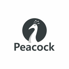 peacock logo design template elements