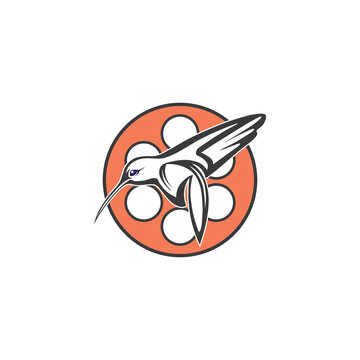 colibri frame film logo design
