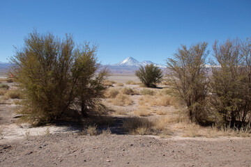 San Pedro de Atacama - Chile