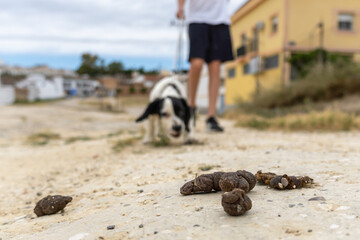 Close-up of excrement on the ground with a puppy and its owner coming in front in the background