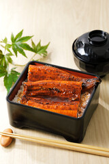鰻重 Unagi Grilled Eel over Rice with Japanese Sauce