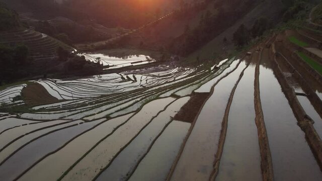 Terraced rice field in harvest season in Mu Cang Chai, Vietnam
