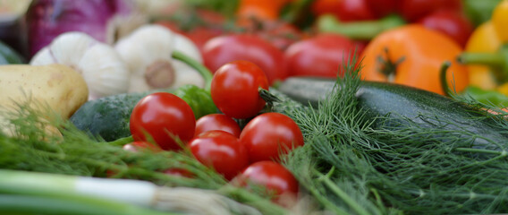 Colorful set organic food. Fresh raw vegetables. Healthy vegetarian food.Vegetarian eating concept