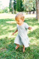Little girl in a dress walks on a green lawn, looking at her feet