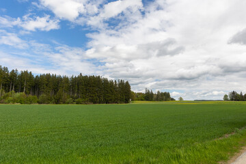 Bavarian alpine foothills landscape with green meadows forests and slightly cloudy sky.