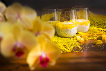 Chia pudding or smoothie with mango puree, coconut milc and coconut chips in transparent glasses  