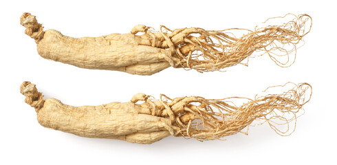Dried ginseng isolated on white background, top view