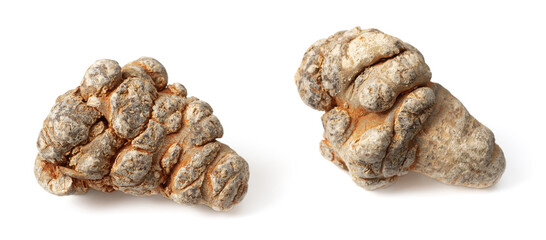 dried panax notoginseng isolated on whtie background