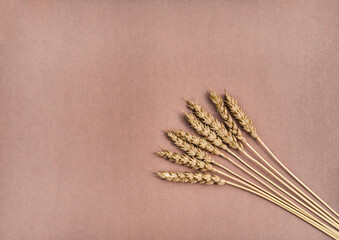 Several ears of wheat in bunch, isolated on brown background. Flat lay.