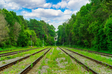 Fototapeta premium View of the empty railroad tracks in the forest between the trees. The grass grows between the rails.