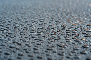 Dark background with large drops of water on fresh asphalt. Road surface wet from rain. Black sad backdrop