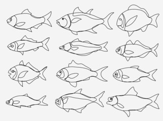 Doodle freehand sketch continuous drawing of fish collection.