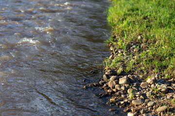 selective focus on small stones At the water's edge, there is a small green grass, the picture of nature gives a feeling of freshness, the view is low. There is space for text. nature wallpaper