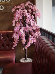 Decorative flowers in the corner of the room look very beautiful