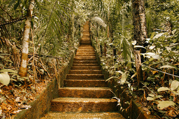 Fototapeta premium stairway to heaven