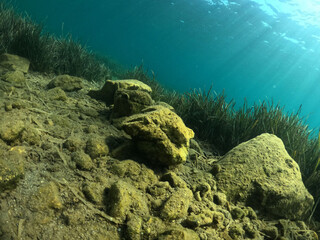 Underwater world of Mediterranean Sea. Near Marmaris, Turkey