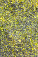 seaweed sheets background.