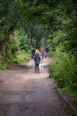 Fototapeta premium Morning walk