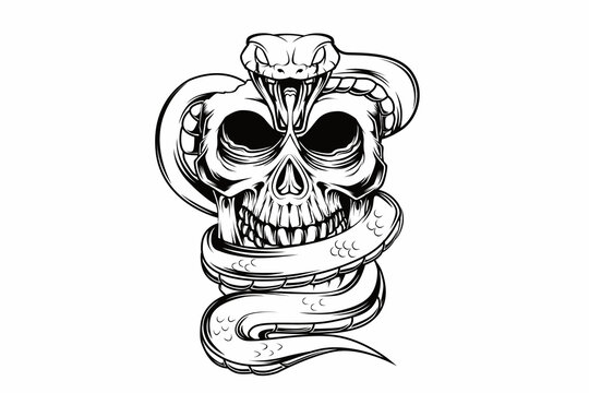 skull snake hand drawing vector