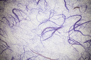 Blue mulberry paper.