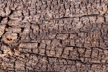 Texture old wood background.