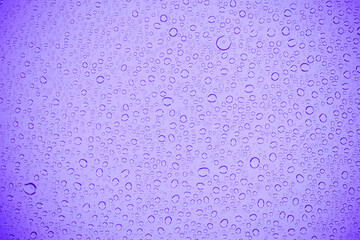 Water bubble on mauve glass.