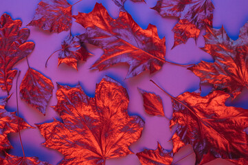Dry red metallic leaves on violet background