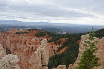 Bryce Canyon Cloudy With Trees