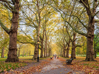 秋のロンドン　グリーン・パーク