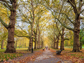 秋のロンドン　グリーン・パーク