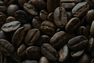 coffee beans background